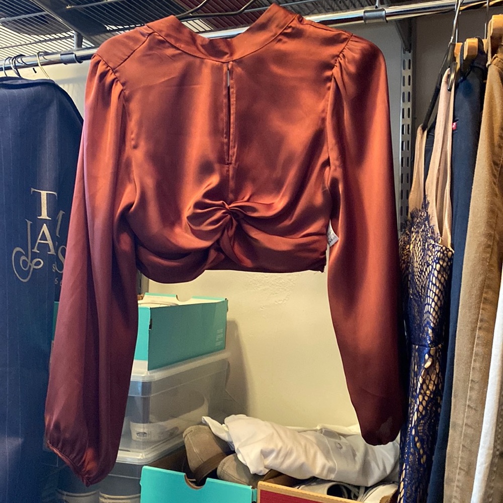 Brand new Zara silk long sleeve crop top